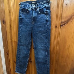 Express Men's Dark Blue Straight Jeans